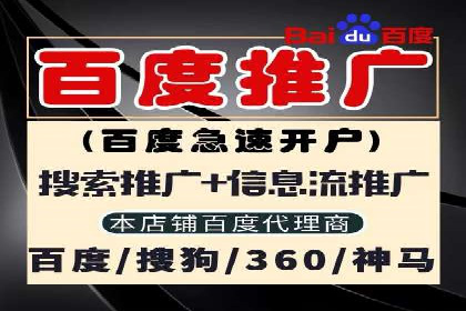 某大型企业选择SEM竞价代运营公司的决策过程与效果评估